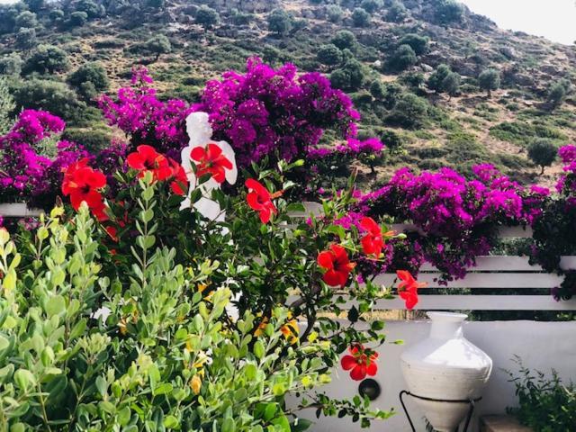 Apartamento La Bastide Skyros Exterior foto
