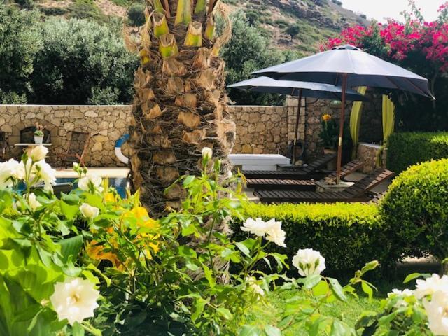 Apartamento La Bastide Skyros Exterior foto