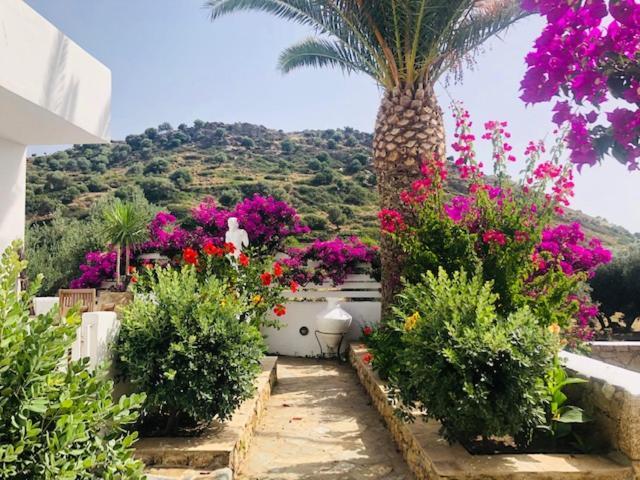 Apartamento La Bastide Skyros Exterior foto
